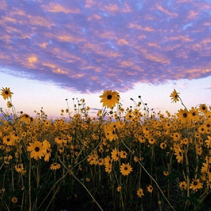 男男Gay做受❌❌高潮视频
